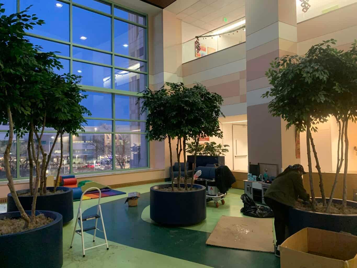 Artificial plants and trees for healthcare environments.