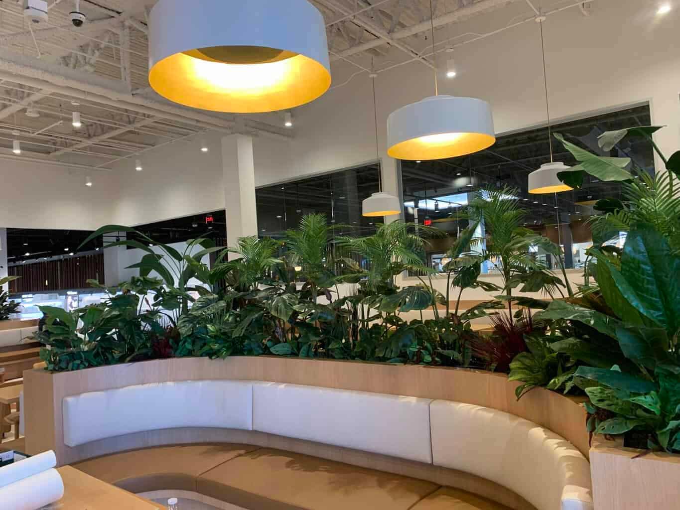 Restaurant Plants